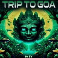 Trip to Goa: A Hypnotic Goa Trance DJ Set for 2025